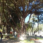 Sucre - Parque Bolivar