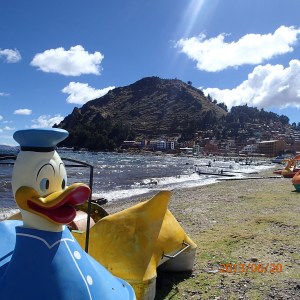 Copacabana - pas sur que ce canard s'en aille à l'eau...je me demande même si pendant la saison sèche il y va!...en arrière plan une partie de la ville.
