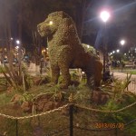 Sucre - plaza de Mayo