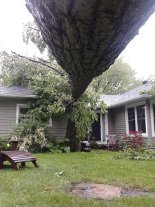 Chanceux que Denis avait renforcit le toit l'an passé parce qu'il ne voulait plus pelleter et qu'on aait ausi fait réparer toute la cheminée...ça du aidé un peu! 