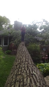 Hum... Que fais je?...Qui apeller en 1er? Le dir-on à papa ou pas? La question ne se pose même pas...on se débrouillera seul!