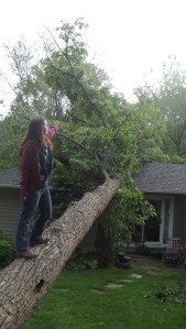 Une fois la 1ère panique passé, ils en ont profité pour s'amuser...ha ces jeunes que belle mentalité!