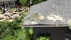 Les dégats: dire qu'on a fait le toit l'an passé ... :-)