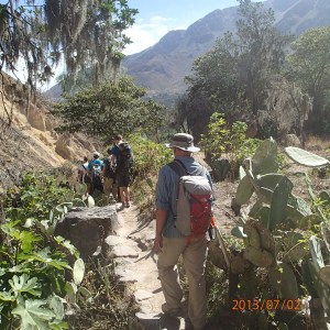 Arequipa - Tour au Cañon del Rio Colca: Maintenant nous sommes sur l'autre versant du Cañon là où il y a plus de végétation