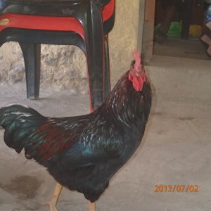 Arequipa - Tour au Cañon del Rio Colca: une petite pose pendant le lunch