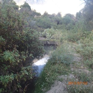 Arequipa - Tour au Cañon del Rio Colca: bon enfin on est rendu à notre thermes naturelle là où on va prendre le bain