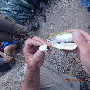 Arequipa - Tour au Cañon del Rio Colca: ...et qui a de l'air d'une banane...super bon et désaltérant