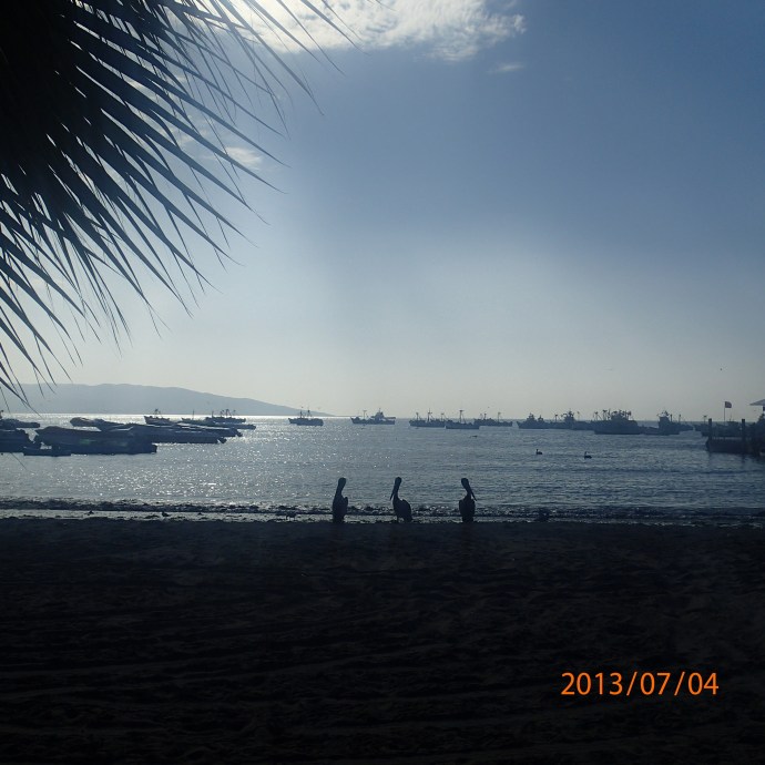 Paracas - D'autres aussi se la coule douce