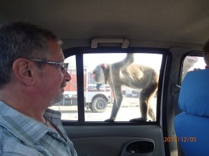 Arnaque dans un pit-stop: J'ai prise une photo et je suis tombé dans le piège à touriste...