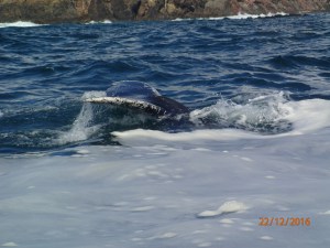 Elle est juste à côté...